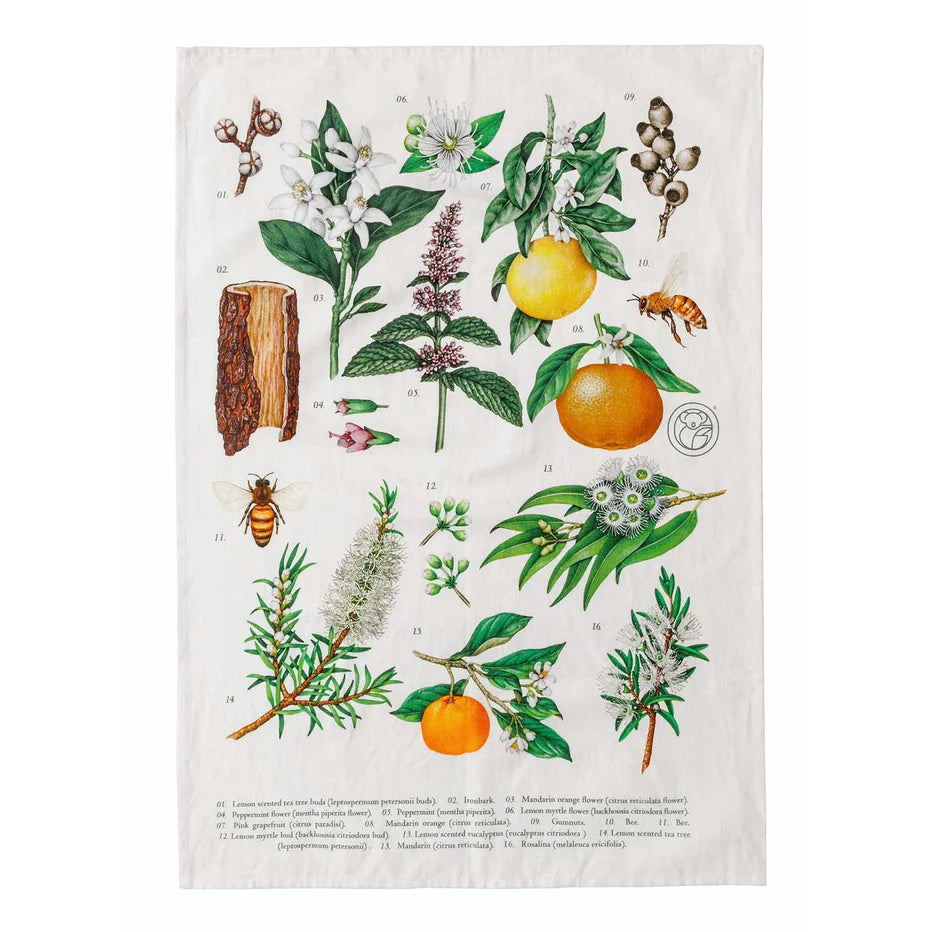 Koala Eco Dish Towel
