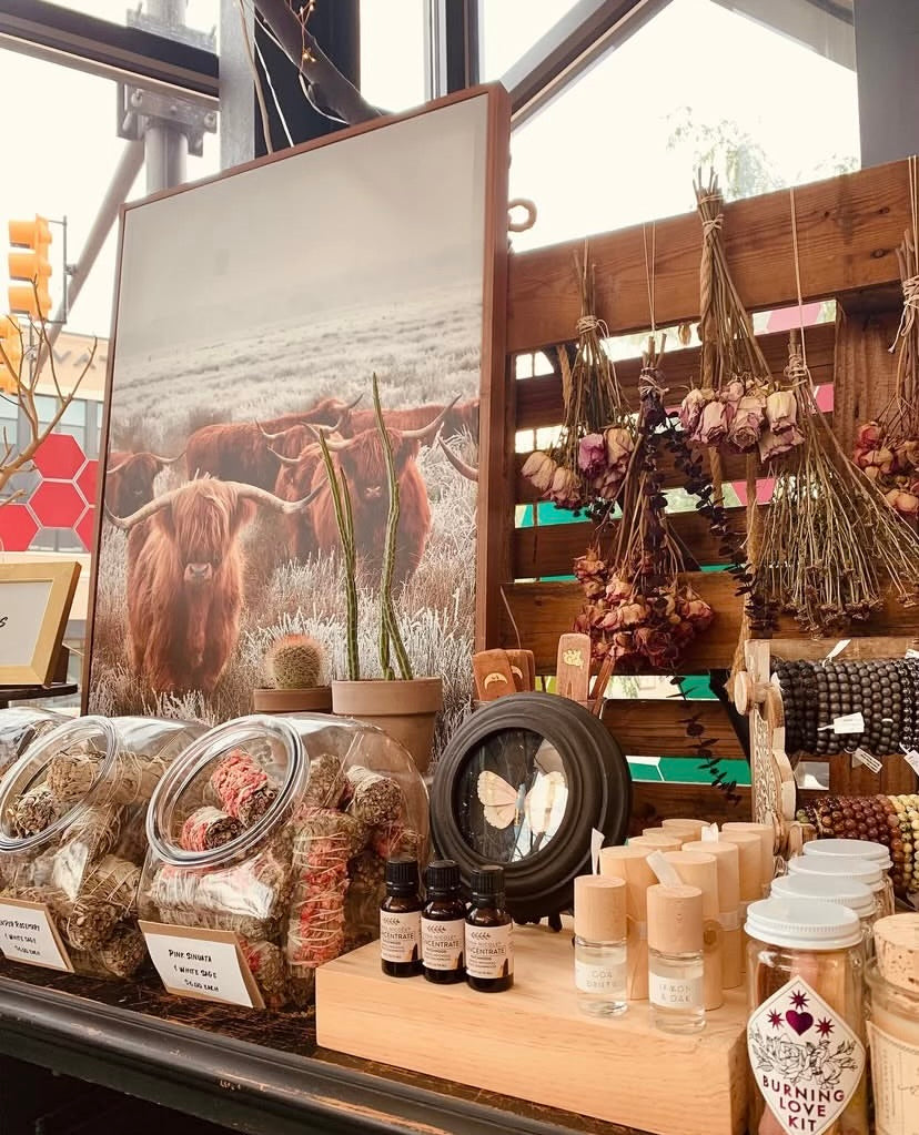 ZMC RX Pharmacy - Royal Oak, MI – ZMC Pharmacy