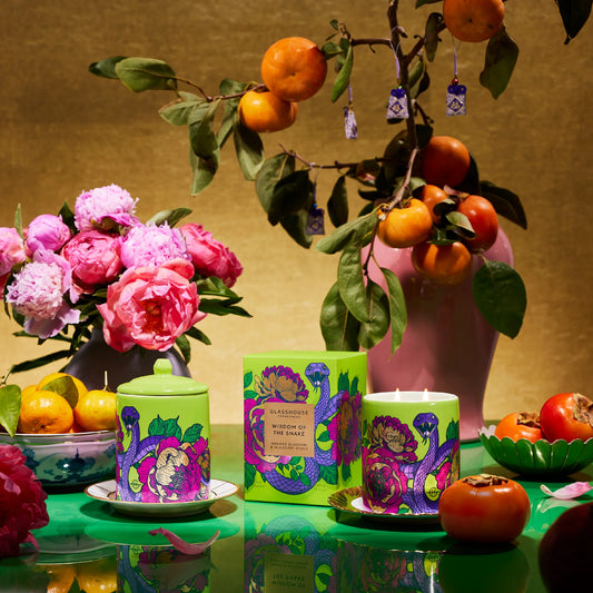 Glasshouse Wisdom of the Snake